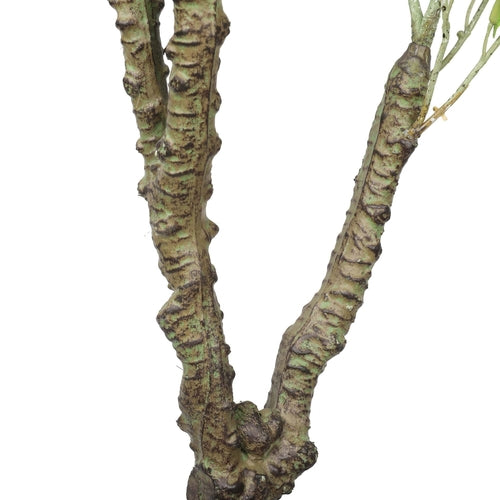 Sztuczny eukaliptus w doniczce – Eucalyptus albens, 120 cm